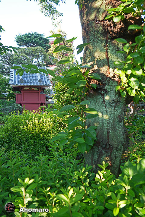 写真00