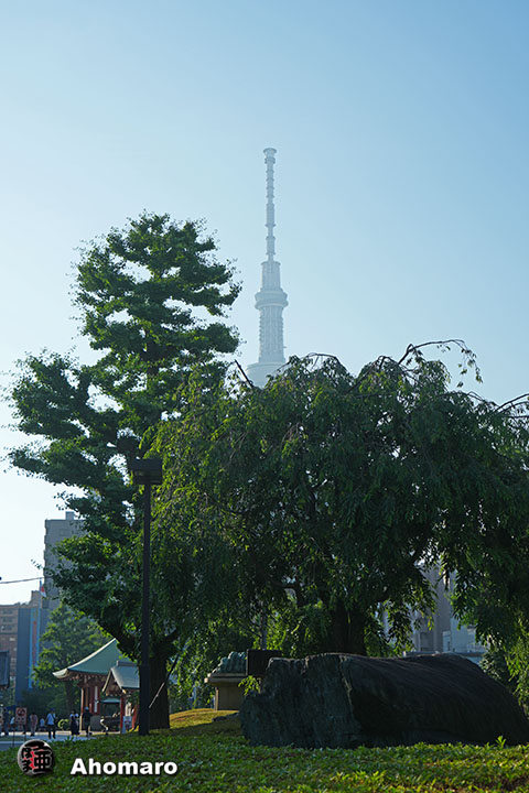 写真00