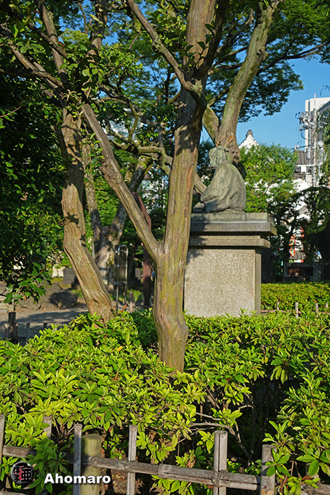 写真00