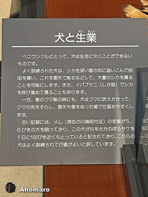 ʐ^00