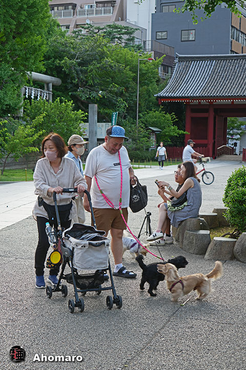写真00