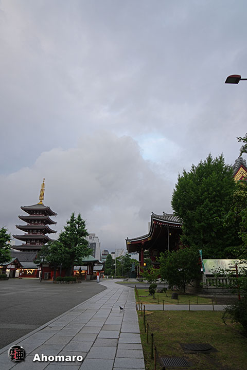 写真00