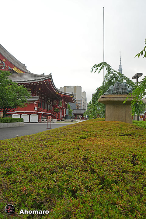 写真00