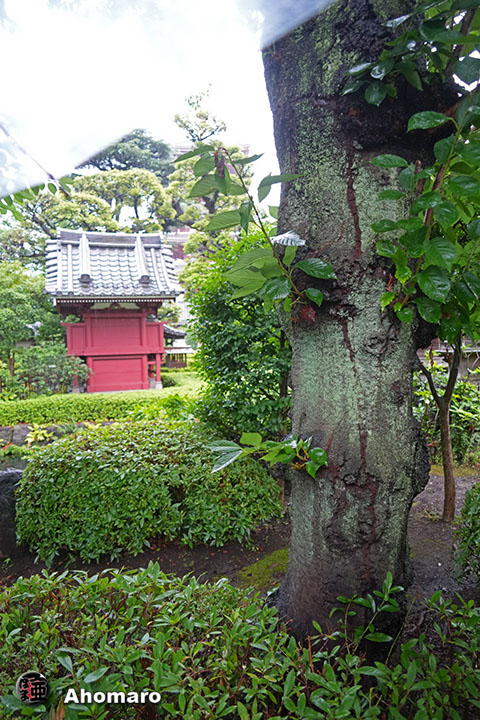 写真00