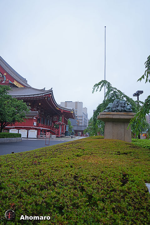 写真00