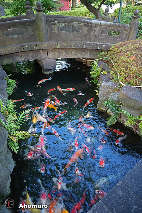 写真00