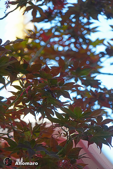 写真00