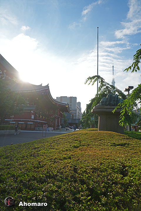 写真00