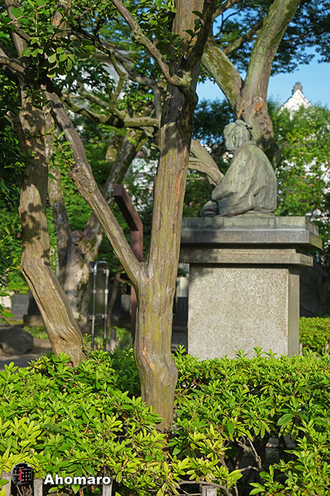 写真00