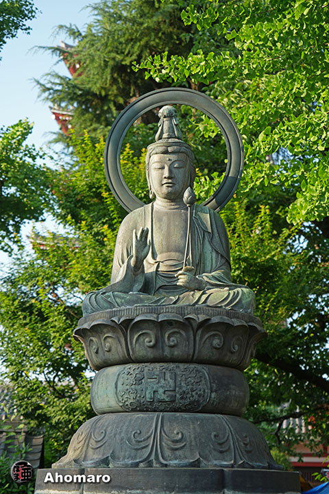 写真00