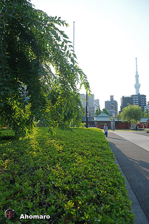 写真00