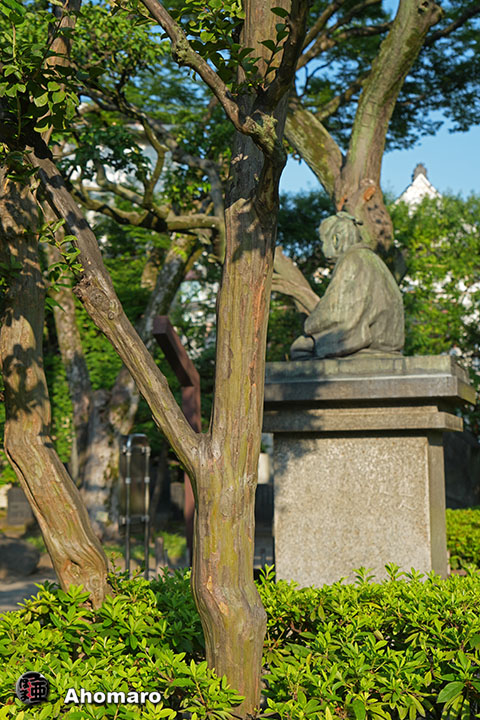 写真00