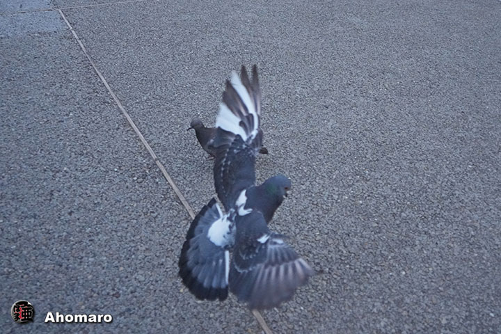ʐ^00