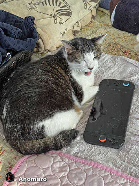 ʐ^00