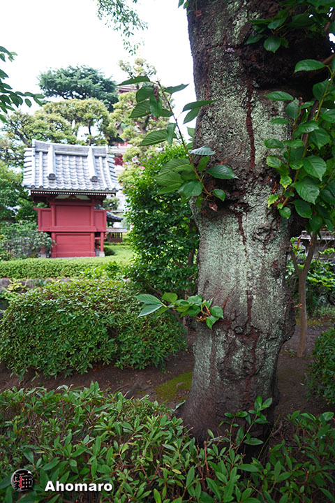 写真00