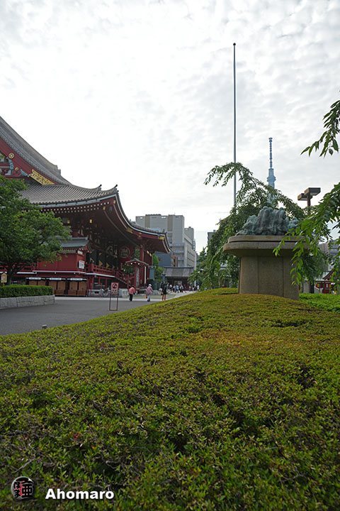 写真00