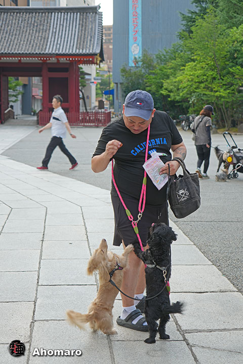 写真00