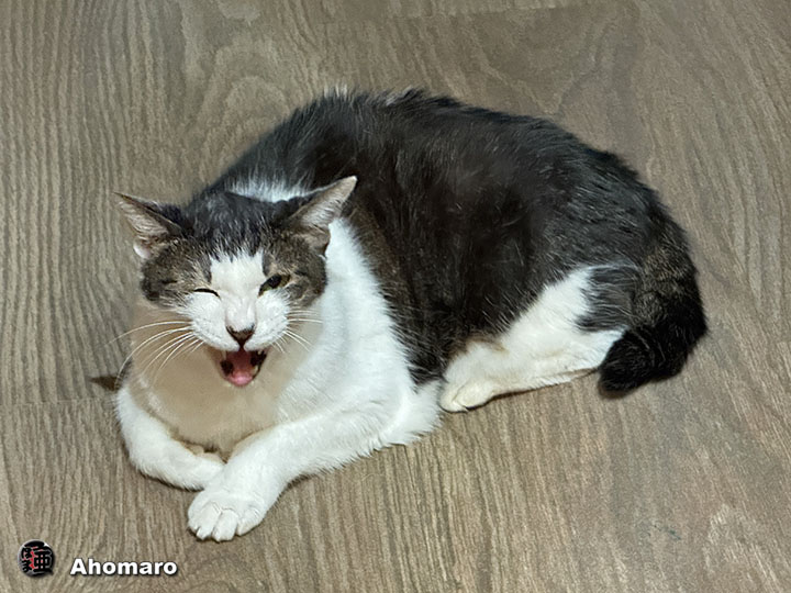 ʐ^00