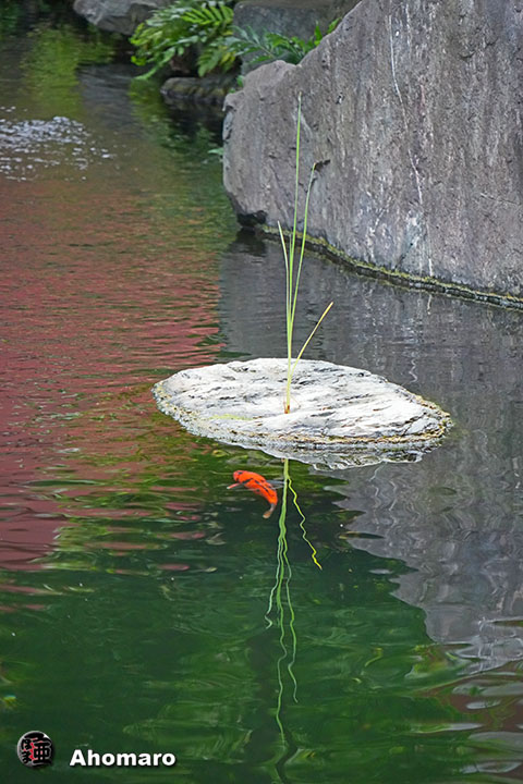 写真00