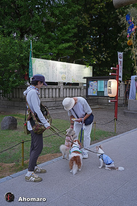 ʐ^00
