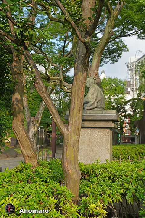 写真00
