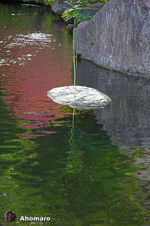 ʐ^00