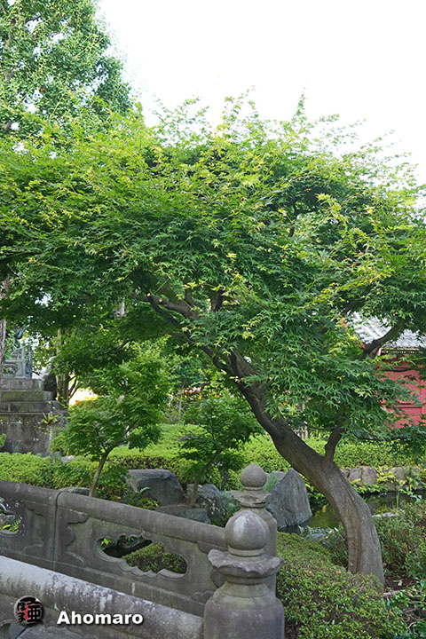写真00