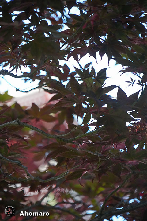 写真00