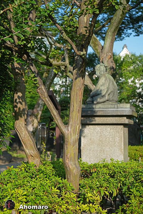 写真00