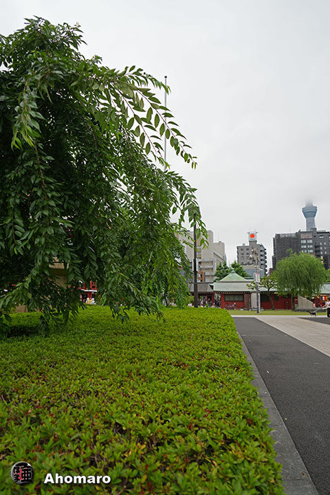 写真00
