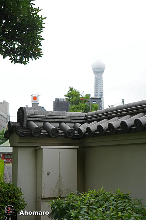 写真00