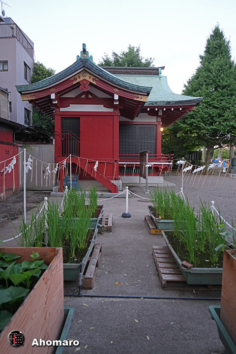 写真00