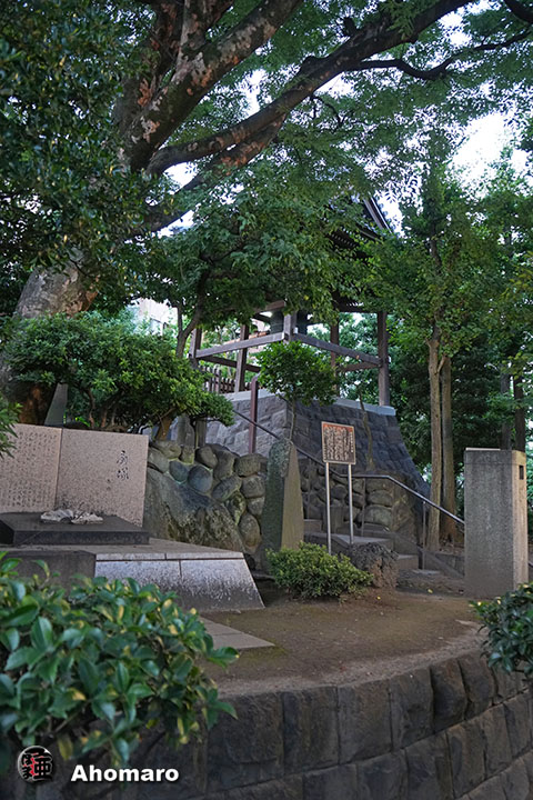 写真00