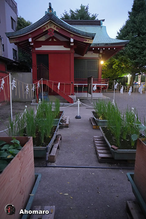 写真00