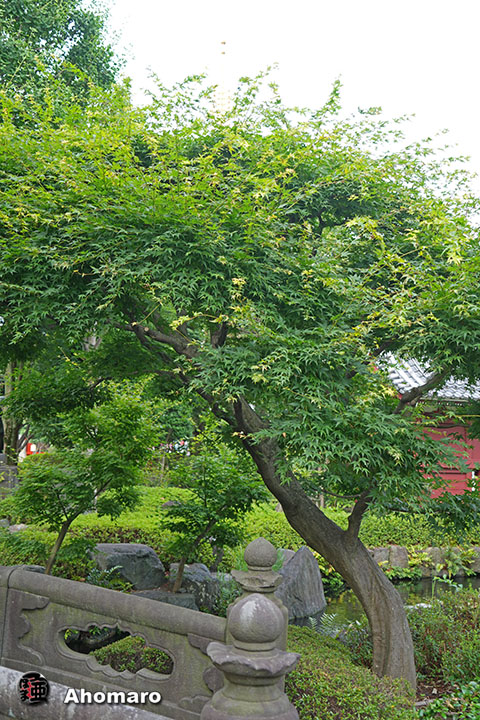 写真00