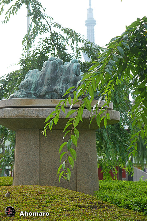 写真00