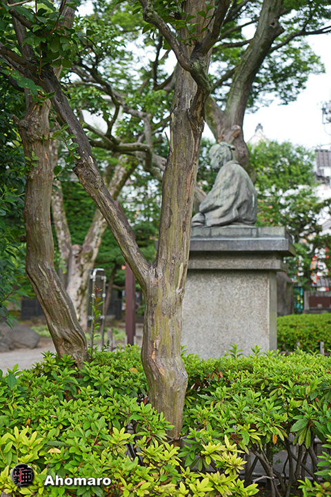 写真00