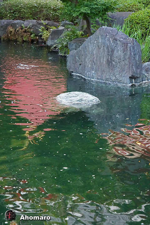 ʐ^00