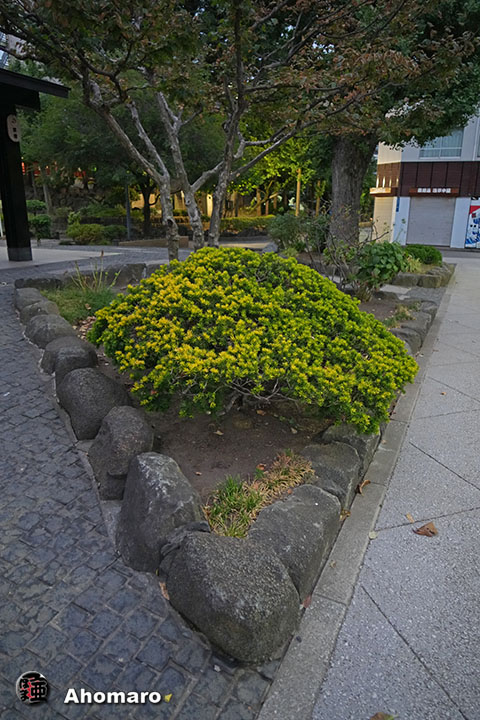 写真00