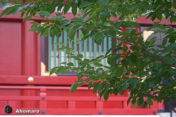 写真00