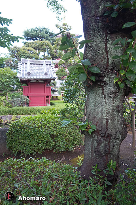 写真00