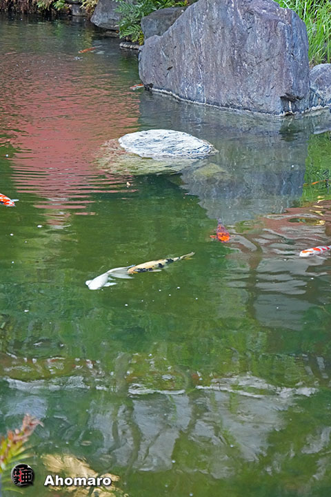 写真00