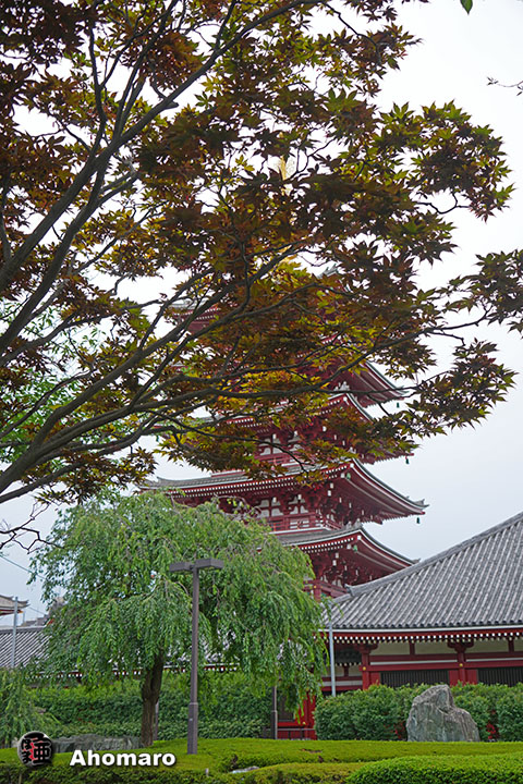 写真00