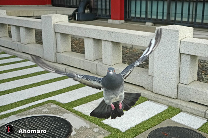 ʐ^00