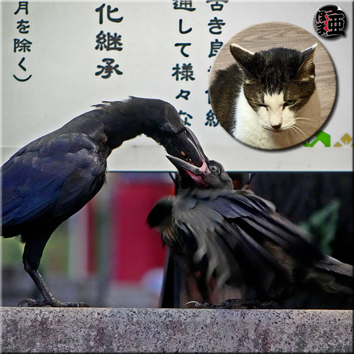 Lʐ^