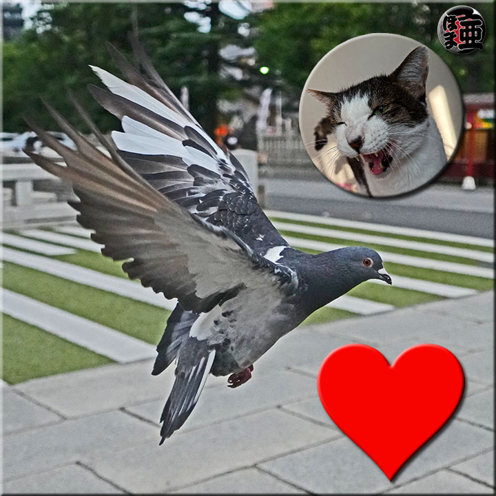 Lʐ^