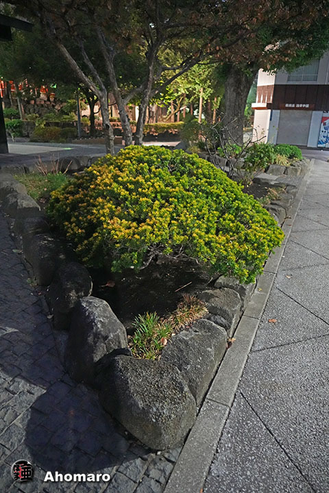 写真00