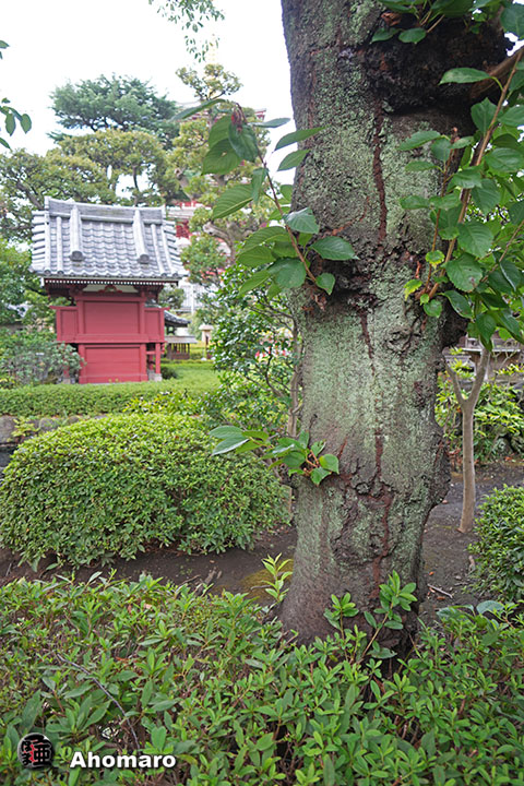 写真00