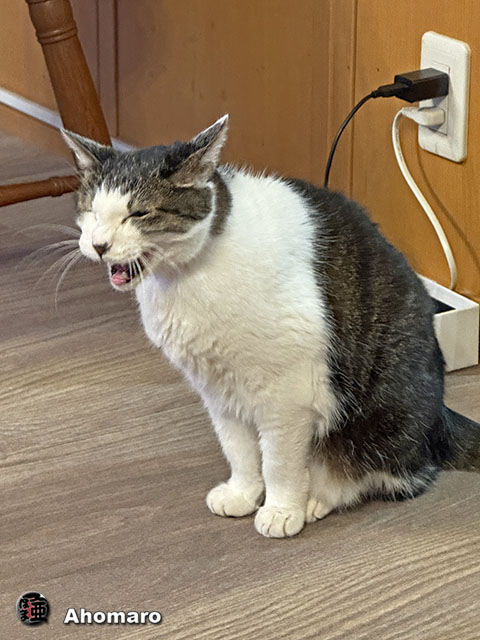 ʐ^00