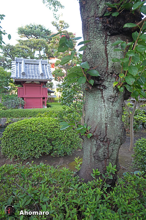 写真00